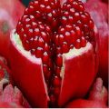 Red Pomegranate