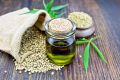 hemp seed oil