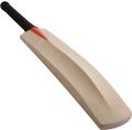 Long Handle Kashmir Willow Cricket Bat