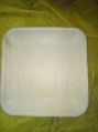 10 Inch Square Areca Leaf Plates