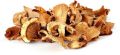 dried oyster mushroom