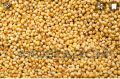 fox tail millets