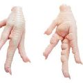 Chicken Paws/feet