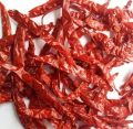 Wrinkled  Dry Red Chilli