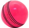 Plain Pink Leather Cricket Ball