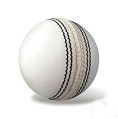 Plain White Leather Cricket Ball