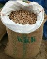 Burma gota betel nut