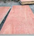 Ply Wood Red Plain Polished commercial plywood