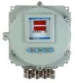 Flameproof Dual Channel Gas Monitor