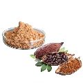 Cocoa Seed Extract Powder