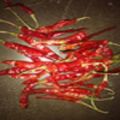 High Quality Dry Chilly S4