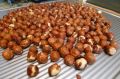 Blanched Hazelnuts