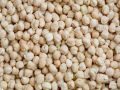 Natural White Chickpeas