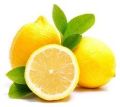 fresh lemon