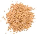 Natural Mustard Seeds