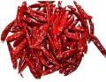 Long Dry Red Chilli