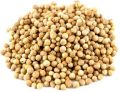 Natural Coriander Seeds