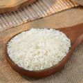 Common White Hard indian basmati rice