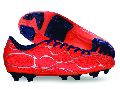 Crane Soccer football Shoes