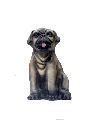 Pug Dog In A Small Space Money Bank