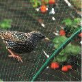 Plastic Green New birds safety net