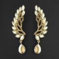 1315602 Tip Top Fashions Brown Crystal Stone Dangler Earrings