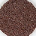 Brown Mustard Seeds