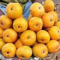 Fresh Rumani Mango