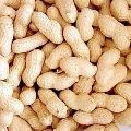 Organic Shelled Peanuts
