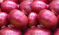 fresh red onion