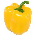 Fresh Yellow Capsicum