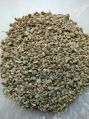 Green Ajwain Seeds