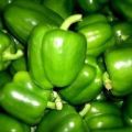 Pesticide Free Green Capsicum