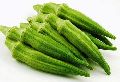 Fresh Okra