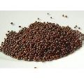 Brown Mustard Seeds