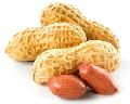 Peanut Kernel