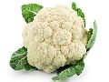 Natural Cauliflower