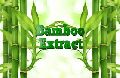 bamboo extract
