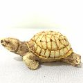 Resin Antique Painted Tortoise