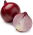 Organic Onion