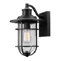 Turner 1-Light Outdoor/Indoor Seeded Glass Shade Wall Sconce Light