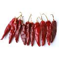 Organic Dried Red Chilli