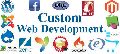 Customized Web Development Services