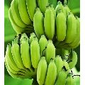 Natural Banana