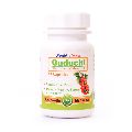 Guduchi- Anti-ageing, Anti-Stress, Boosts Immunity, Aids Digestion, Detoxifier