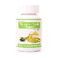 Shivalik Wheatgrass Complete Ayurvedic Nutrition, Multivitamin, Rejuvenator and Anti ageing.