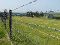 Wire for Agriculture and Fencing