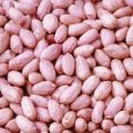 groundnuts