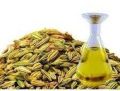Natural Dill Seed Oil