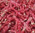 Indian Dried Red Chillies Byadgi 668